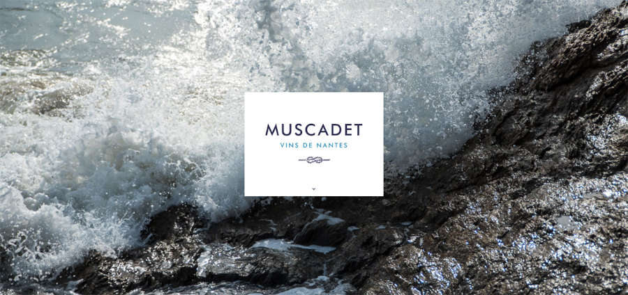 Muscadet-vins de Nantes